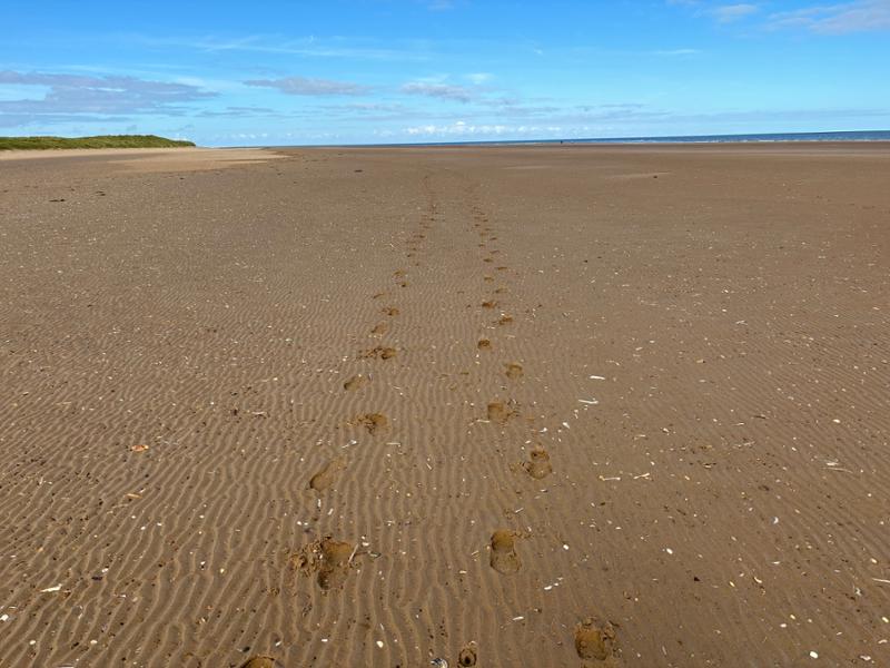 Norfolk Coast Path with Contours Holidays
