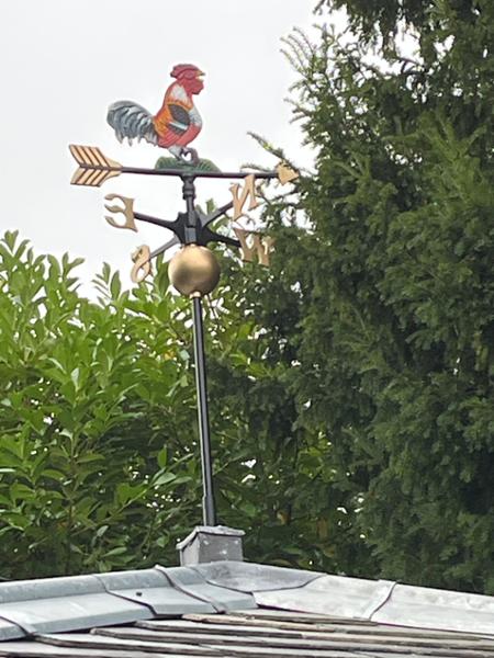 Cockerel for The Roost