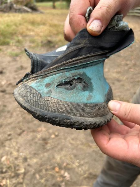 Woof Wear med boot