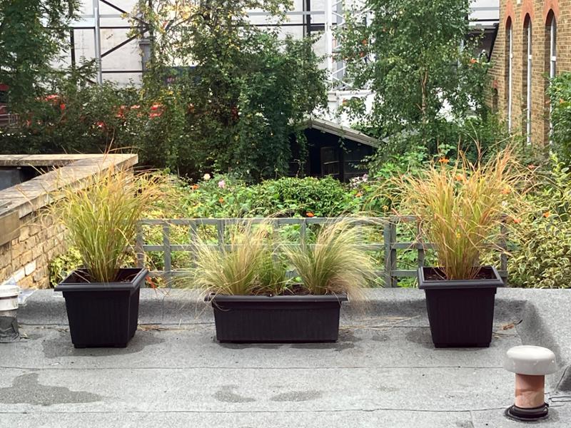 Website a little slow.
