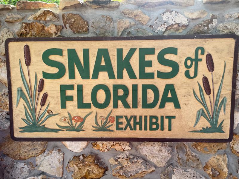 Gatorland is a must see!