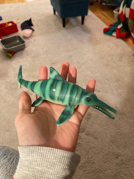 All your dinosaur needs!