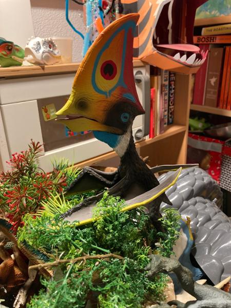 All your dinosaur needs!