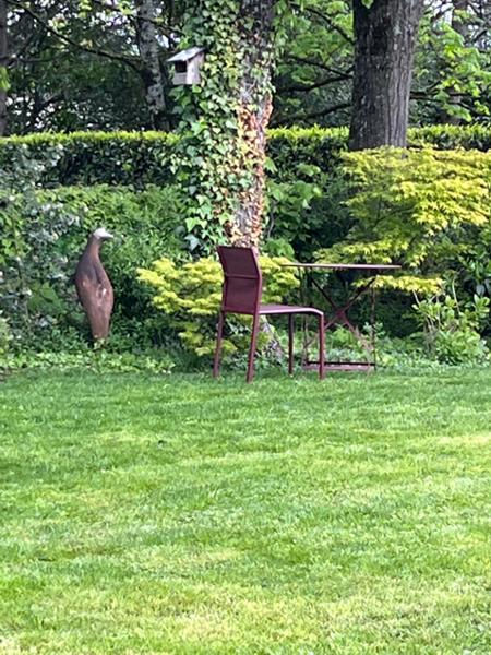 Kir Royale a regal experience