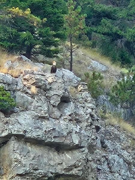 Montana: Exploring Big Sky Country on 09/03/2024