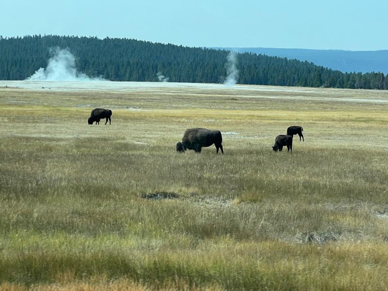 Montana: Exploring Big Sky Country on 09/03/2024