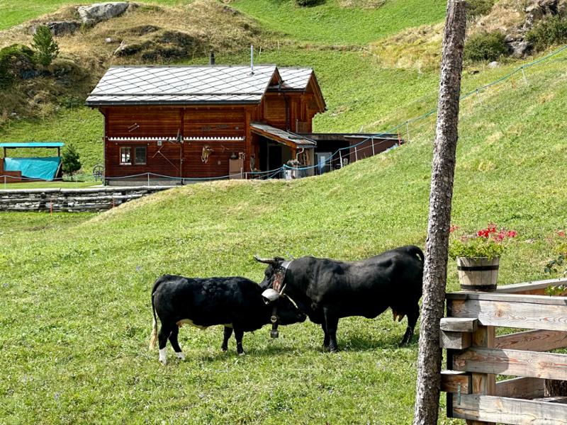 Traveling through Switzerland Amazing.  Story book pictures!
