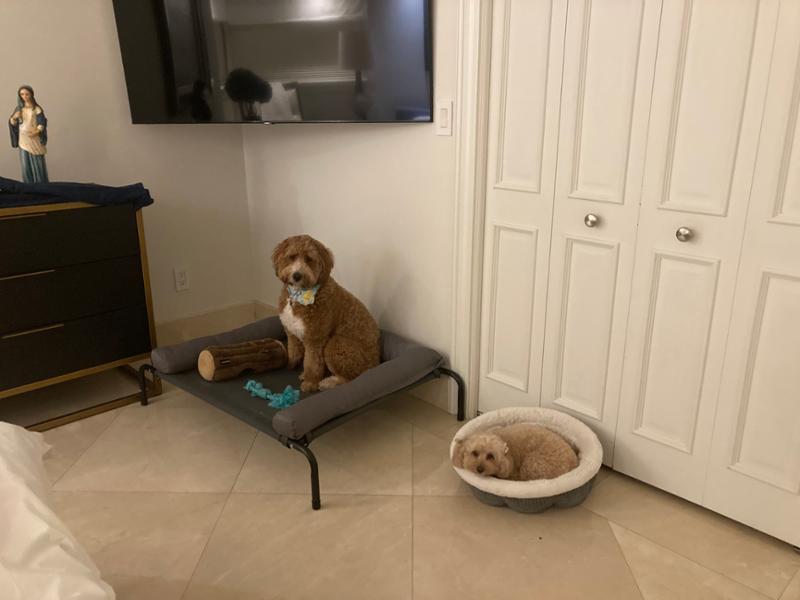 Good relaxing family stay