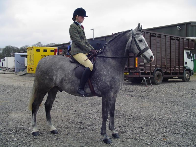 Biodura Biotin Hoof Supplement for Horses