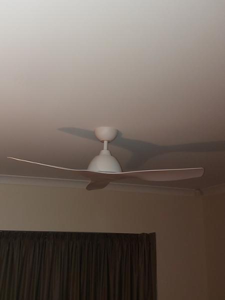 Great Looking Ceiling Fan