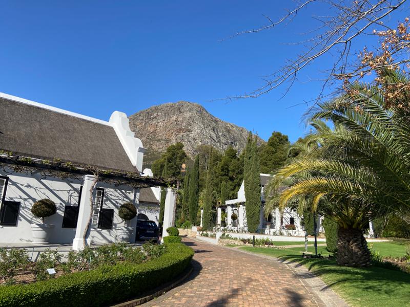 South Africa and Safari Experience a Lifetime Highlight