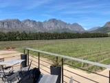 South Africa and Safari Experience a Lifetime Highlight