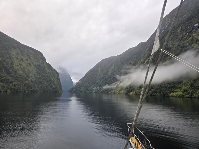 Doubtful Sound Overnight Cruise - Fiordland Navigator - Doubtful Sound