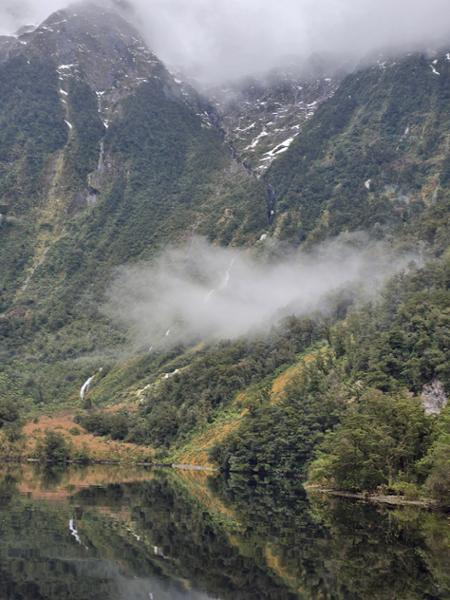 Doubtful Sound Overnight Cruise - Fiordland Navigator - Doubtful Sound