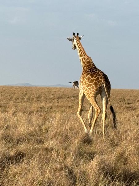 Trip of a lifetime!