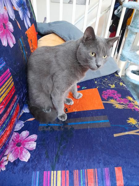 Purrfect in every way