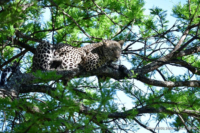 An African travel adventure a trip you won’t regret