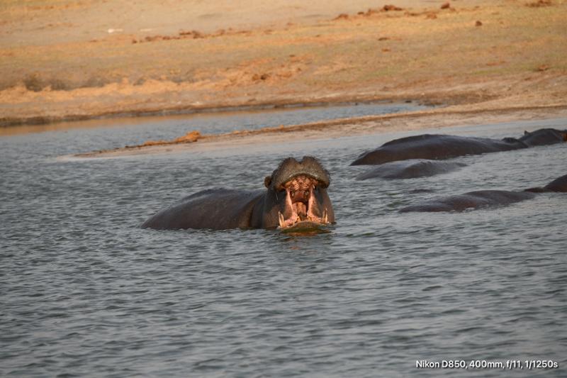 An African travel adventure a trip you won’t regret