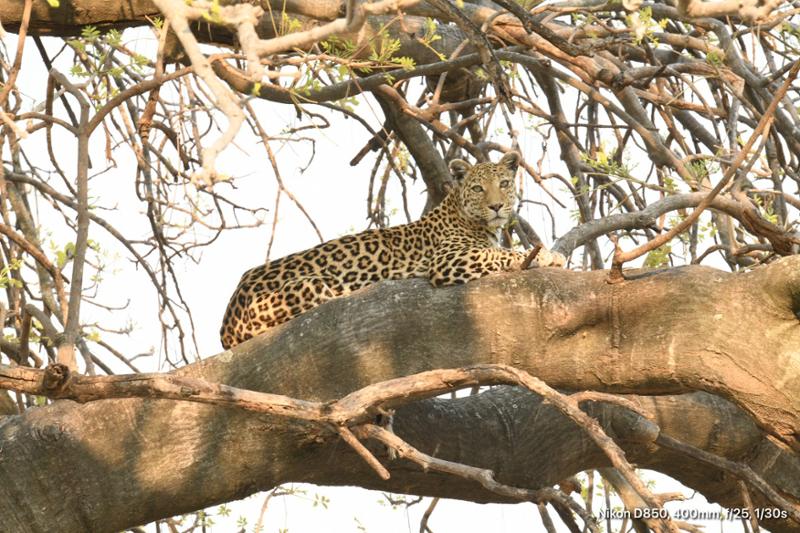 An African travel adventure a trip you won’t regret