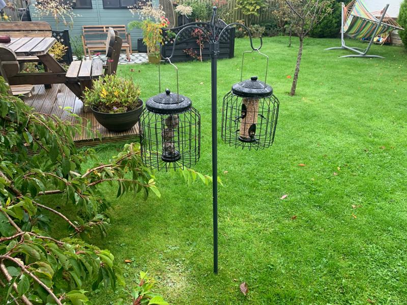 Brussels Fat Ball Bird Feeder Guardian Pack