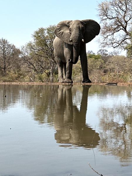 Amazing Time in South Africa