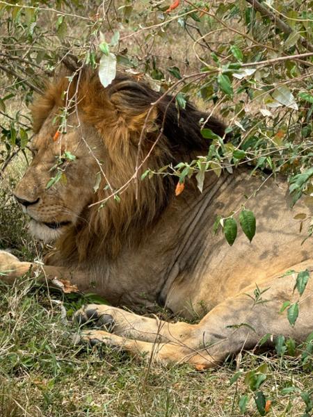Go2Africa made our safari perfect in every way
