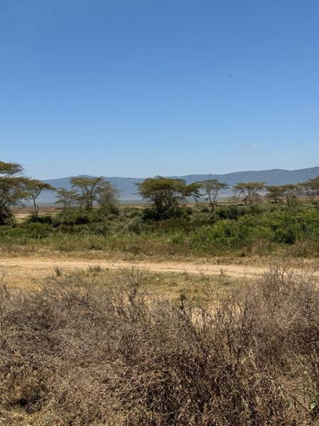 Go2Africa made our safari perfect in every way