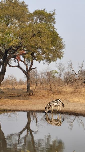 Exceptional Service from Go2Africa
