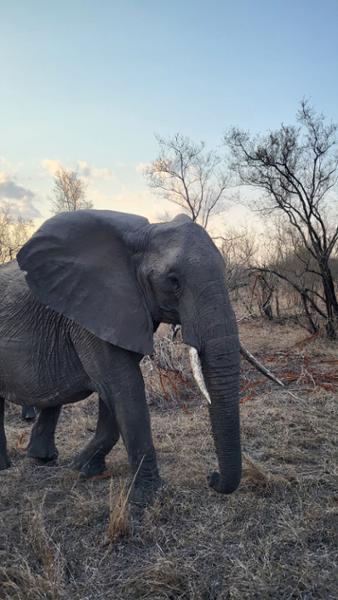 Exceptional Service from Go2Africa