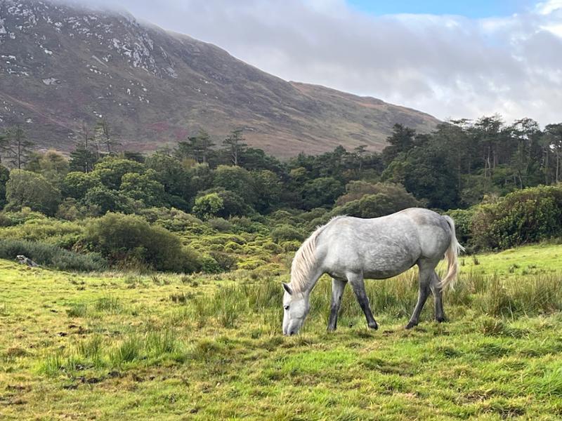 Best of Ireland