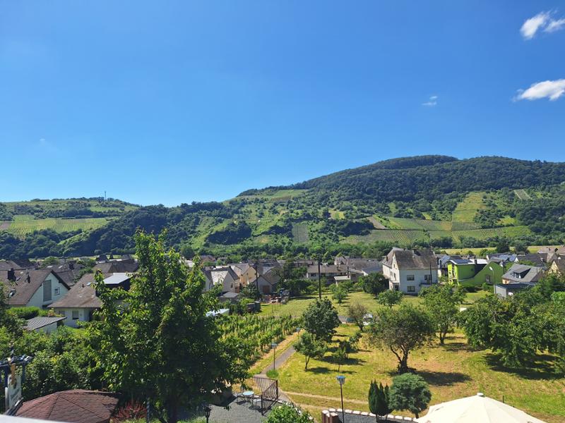 Hotel Moselblick