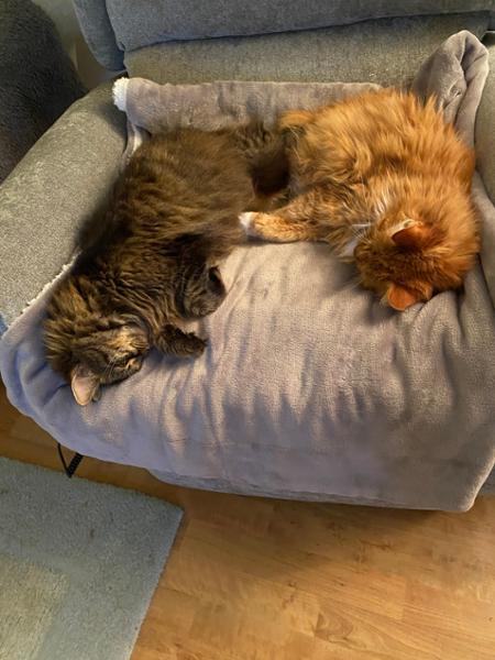 Good chair