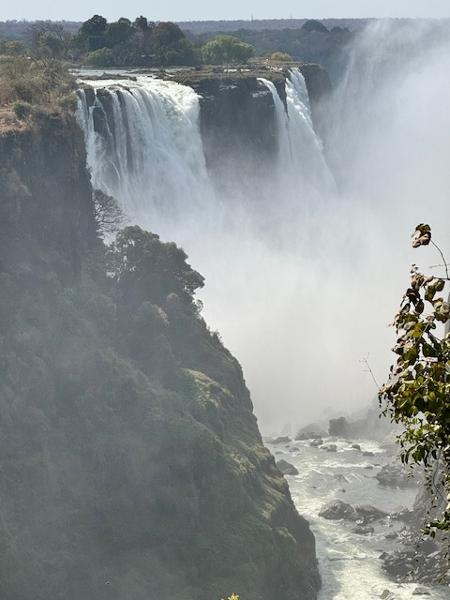 A Perfect Safari Experience!