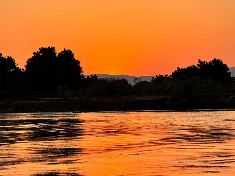 A Perfect Safari Experience!
