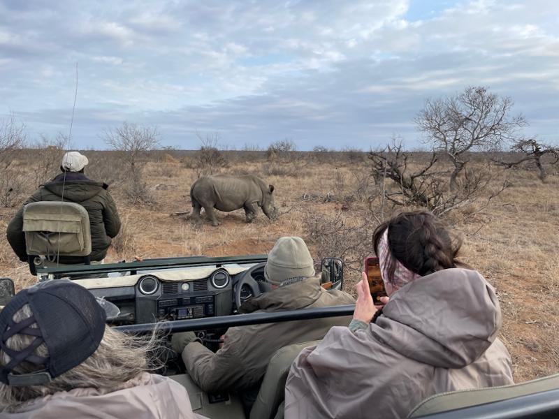 Fantastic 2 week trip to Cape Town and South African safaris