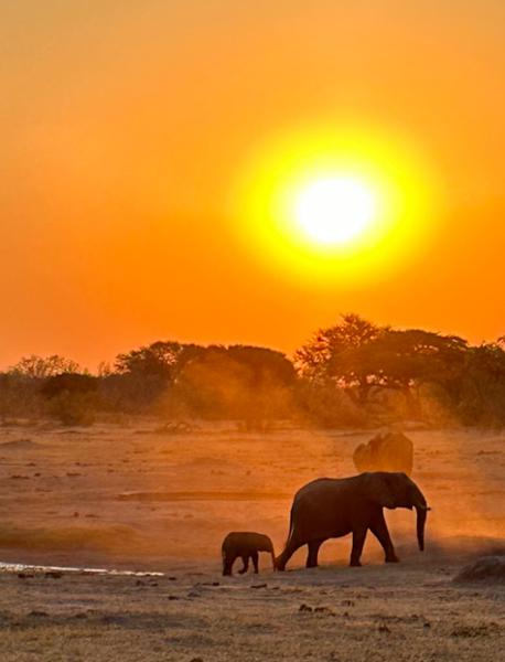 African Magic!