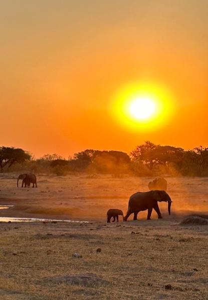 African Magic!