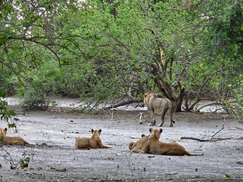 Our Awesome Adventure in Africa