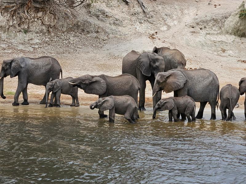 Our Awesome Adventure in Africa
