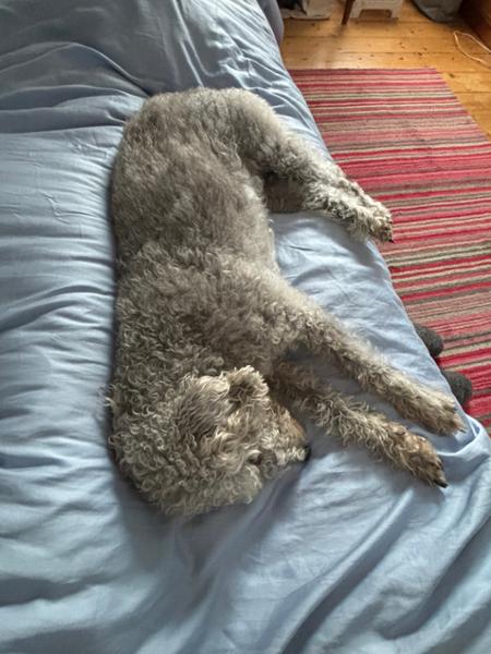 Wool cloud