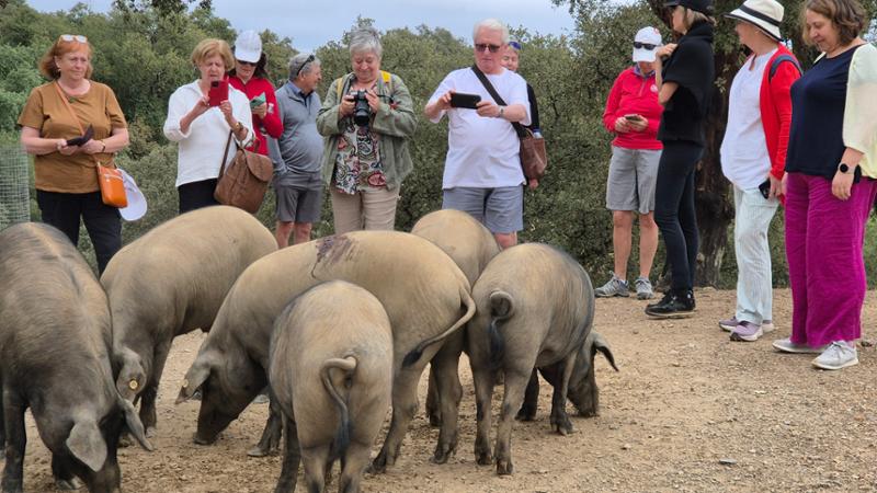 El viaje a Espania fue fabuloso