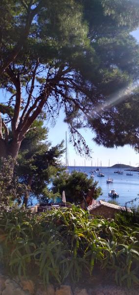 Croatia Swim Trip