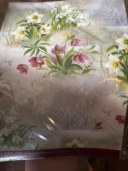 Great Wrapping Paper