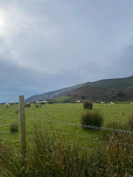 Baystone Bank