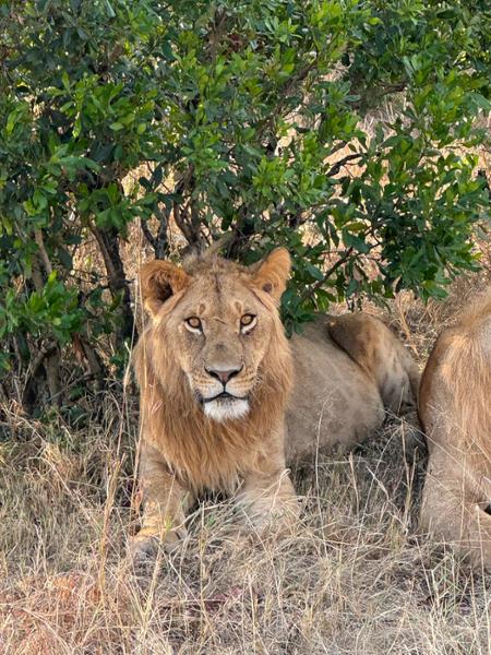 My trip to Africa