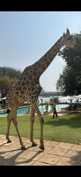 Go2Africa Delivered our Dream Holiday