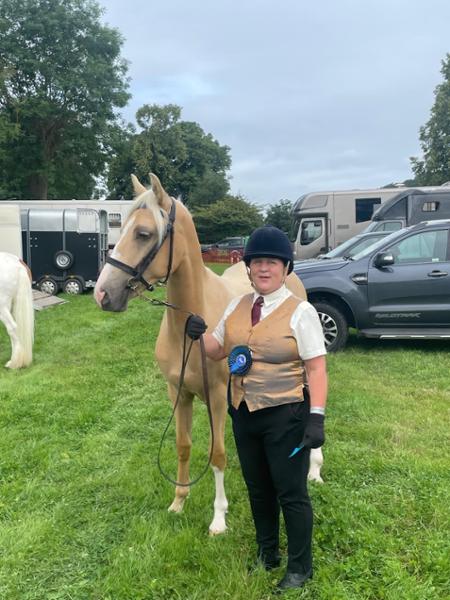 Bluechip - best balancer for all types of horses