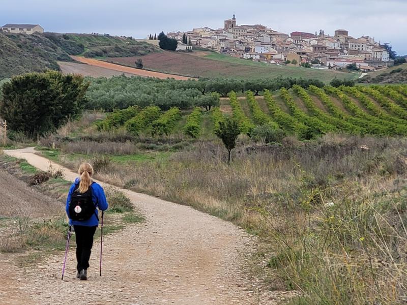 Perfect holiday with the right amount of walking and down time.