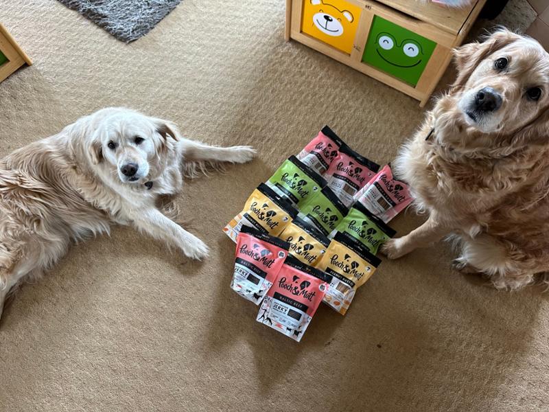 We Love Pooch & Mutt