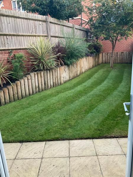 LAWN ALL DONE!  NO COMPLAINTS!